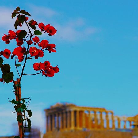 Absolute Athens Acropolis View 아파트 호텔 외부 사진