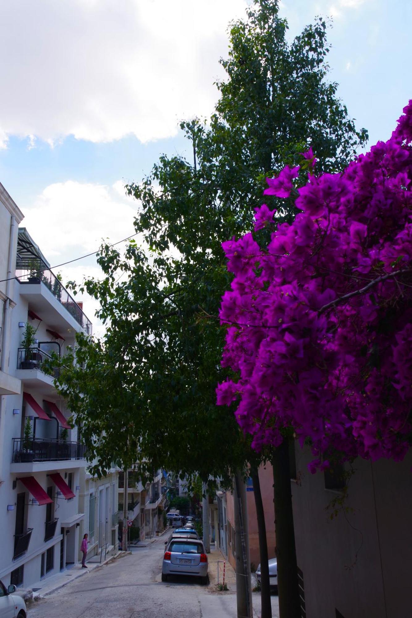 Absolute Athens Acropolis View 아파트 호텔 외부 사진